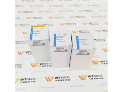 CH10.D-204V*17.KD1產品實拍圖